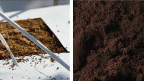 sustrato projar|berries produccion projar|LOGO projar|Comparativa Cosecha projar 1|raiz projar 2|invernaderos projar 3|farm-1554321_960_720